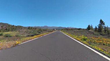 Açık bir yolun çarpıcı manzarası yemyeşil manzaralarda dolambaçlı, canlı çiçeklerle dolu.