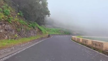 Sis ve yeşillikte sakin bir yol doğa severler ve maceracılar için idealdir.