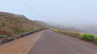 Bereketli yeşil tepelerde kıvrılan sisli bir yolun huzurlu manzarası, rahatlamaya ve keşfe davetiye çıkarıyor..