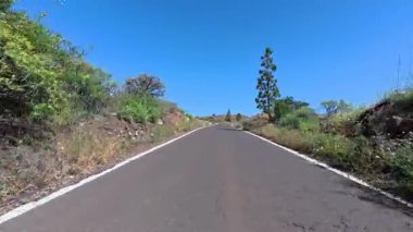 Huzurlu ve sakin bir yol, canlı yeşillikler ve berrak mavi gökyüzü ile çevrili, sakin sürücüler için ideal kaçış