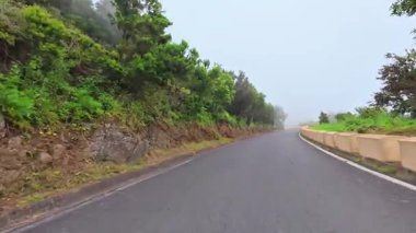 Büyüleyici, sisli bir yol manzarası canlı bitki örtüsü ve nefes kesici manzarayla çevrili.