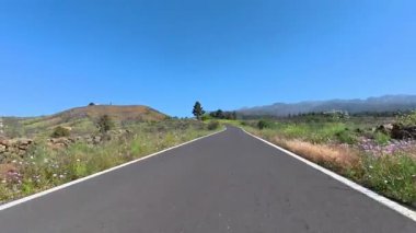 Göz kamaştırıcı güzellikte kırsal bir yol, canlı kır çiçekleriyle çevrili, açık mavi bir gökyüzünün altında uzanır.