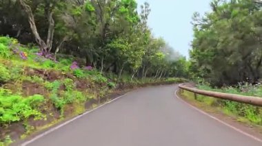 Çarpıcı derecede güzel, dolambaçlı bir yol. Etrafı canlı yeşillikler ve renkli çiçeklerle çevrili.