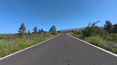 Parlak mavi bir gökyüzünün altında canlı yemyeşil bir yolda zarif bir şekilde dolambaçlı bir kır yolu.