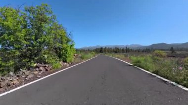 Güneşli bir gökyüzünün altında canlı yeşillikler ve volkanik arazi boyunca uzanan pitoresk bir viraj yolu..