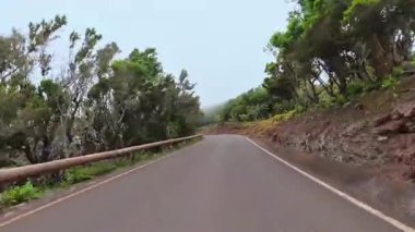 Bereketli yeşillik ve yumuşak sisle kaplanmış, güzel, dolambaçlı bir dağ yolunda harika bir huzur içinde sürüşün tadını çıkar.