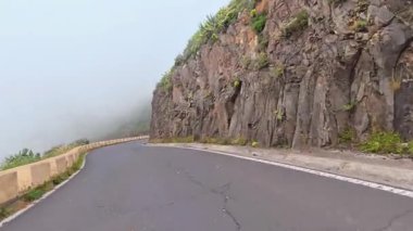 Kayalık arazi ve canlı bitki örtüsüyle çevrili dolambaçlı bir yol. Hepsi sisli ve sakin bir atmosferle çevrili.