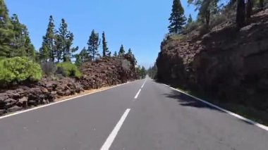 Güzel, resimsi bir yol zarif bir şekilde ağaçların ve kayalık arazilerin arasından geçiyor berrak mavi gökyüzünün altında.