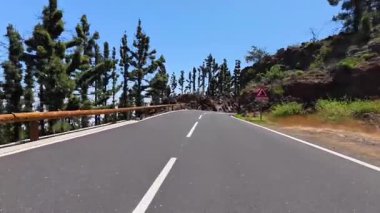 Güzel ve açık mavi bir gökyüzünün altında yemyeşil çam ormanları arasında uzanan pitoresk bir yol.