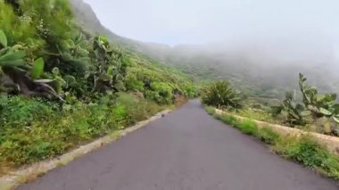 Etrafı yemyeşil ve gizemli sislerle çevrili dolambaçlı yolları keşfedin.