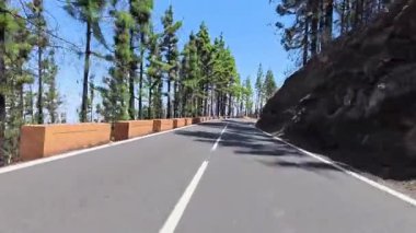 Uzun çam ağaçları ve kayalık arazide dolambaçlı, doğa severler için ideal bir yol..