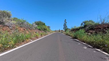 Huzurlu ve sakin bir yol, canlı yeşillikler ve berrak mavi gökyüzü ile çevrili, sakin sürücüler için ideal kaçış