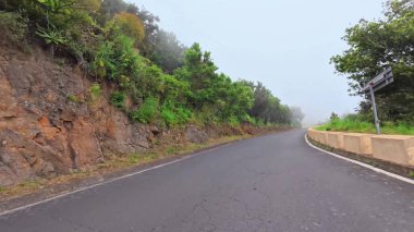 Büyüleyici, sisli bir yol manzarası canlı bitki örtüsü ve nefes kesici manzarayla çevrili.