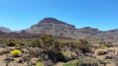 Nefes kesici ve çarpıcı bir çöl manzarası berrak ve parlak mavi gökyüzünün altında göze çarpan bir dağ setini barındırır.