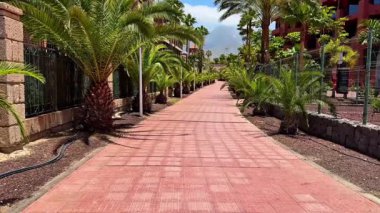 Güneşli, güneşli bir tropikal bölgeye rahatlama ve sükuneti davet eden nefes kesici bir palmiye yolu.