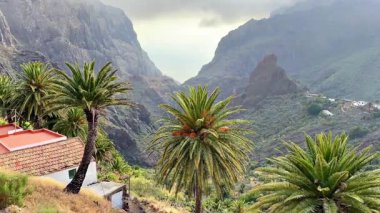 Bulutlu bir günde kayalık dağların arasına kurulmuş yüksek palmiye ağaçlarıyla dolu sakin bir vadiden nefes kesici bir manzara.