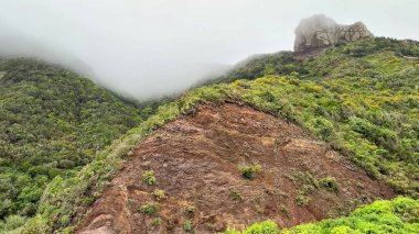 Etrafı yemyeşil yemyeşil bir bitki örtüsüyle çevrili sisli bir dağ manzarası gerçekten büyüleyici.