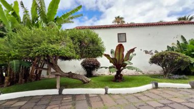 Bu, çarpıcı beyaz bir arkaplan üzerine kurulmuş çeşitli bitki çeşitliliğine sahip güzel bir bahçe.