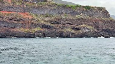 Çarpıcı sahil kayalık oluşumları dingin okyanus dalgalarıyla çarpıcı bir şekilde karşılaşıyor, inanılmaz güzellikler sergiliyor.