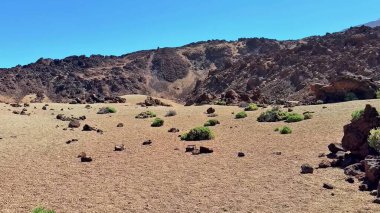 Sakin ve sakin bir çöl sahnesi eşsiz kaya oluşumlarını ve berrak mavi gökyüzünün altında seyrek bitki örtüsünü sergiliyor.