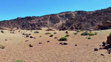 Sakin ve sakin bir çöl sahnesi eşsiz kaya oluşumlarını ve berrak mavi gökyüzünün altında seyrek bitki örtüsünü sergiliyor.