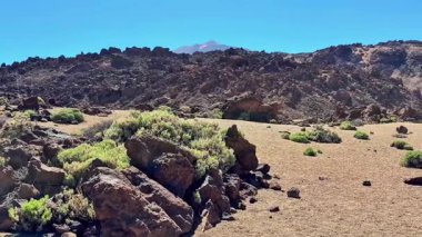 Eşsiz kaya oluşumları ve canlı bitki örtüsüyle çarpıcı bir çöl manzarasını keşfetmek için unutulmaz bir yolculuğa çıkın.
