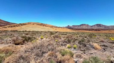 Bu nefes kesici çöl arazisini keşfedin. Benzersiz jeolojik özellikler ve renkli bitkiler sergiliyor..