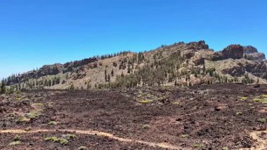 Berrak mavi gökyüzü altında kayalık tepeler ve yemyeşil yemyeşil volkanik arazinin nefes kesici manzarası..