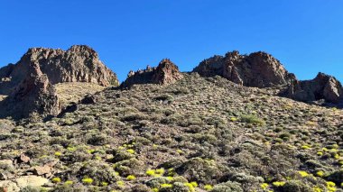 Beraberinde berrak mavi bir gökyüzü altında canlı çiçekler eşliğinde engebeli dağların nefes kesici manzarasının tadını çıkar.