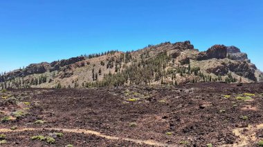 Berrak mavi gökyüzü altında kayalık tepeler ve yemyeşil yemyeşil volkanik arazinin nefes kesici manzarası..