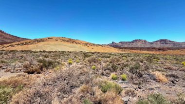 Bu nefes kesici çöl arazisini keşfedin. Benzersiz jeolojik özellikler ve renkli bitkiler sergiliyor..