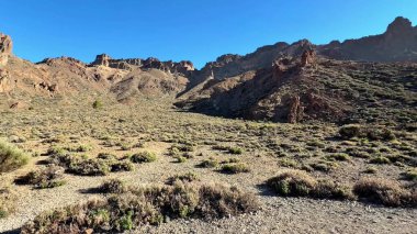 Engebeli dağların, canlı bitkilerin ve berrak mavi gökyüzünün olduğu çarpıcı bir çöl manzarası keşfedin..