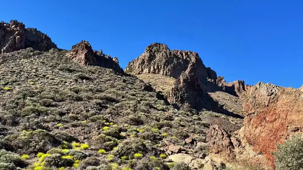 Göz kamaştırıcı ve nefes kesici bir manzara berrak mavi gökyüzüne karşı canlı bitki örtüsüyle süslenmiş görkemli kayalık dağlar.