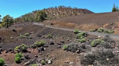 Sakin ve sakin bir volkanik manzara güzel bir şekilde, eşsiz bitki örtüsü ve faunayla çevrili dolambaçlı bir yol sergiliyor.