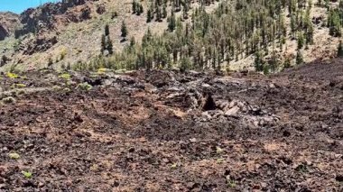 Arka planda yemyeşil çam ağaçlarının eşlik ettiği volkanik kaya arazisinin nefes kesici ve nefes kesici manzarası.