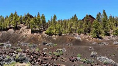 Parlak mavi gökyüzünün altında yemyeşil çam ağaçlarının bulunduğu büyüleyici ve nefes kesici bir volkanik arazi.