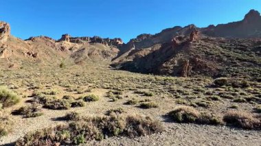 Engebeli dağların, canlı bitkilerin ve berrak mavi gökyüzünün olduğu çarpıcı bir çöl manzarası keşfedin..