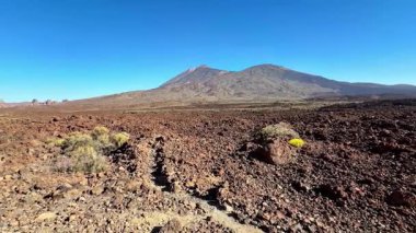 Geniş ve engebeli bir volkanik arazi üzerinde engin, berrak bir mavi gökyüzünün altında göze çarpan bir dağı gözler önüne seriyor.
