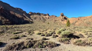 Bereketli bitki örtüsü ve açık mavi gökyüzünün altındaki canlı bitki örtüsü ile dolu çarpıcı kayalık araziyi keşfedin.