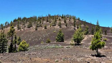 Göz kamaştırıcı ve pitoresk bir volkanik tepe zarif bir şekilde canlı yeşilliklerle çevrili, hepsi parlak mavi bir gökyüzünün altında.