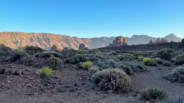 Teide Ulusal Parkı yemyeşil ve canlı doğada eşsiz kaya oluşumlarıyla nefes kesici manzaralar sunuyor.