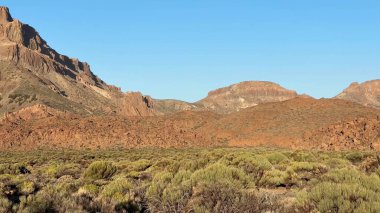 Geniş ve engin çöl manzarası, berrak mavi bir gökyüzünün altında canlı çalıların yanında engebeli dağları barındırır.