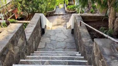 Taş adımlar yavaşça yemyeşil ve sıcak güneş ışığıyla dolu yemyeşil, canlı bir bahçeye iniyor.