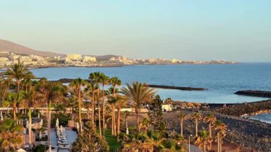 Gün batımında güzel bir sahil şehrinin nefes kesici ve çarpıcı manzarası. Uzun palmiye ağaçları ve kayalık bir kıyı şeridi var.