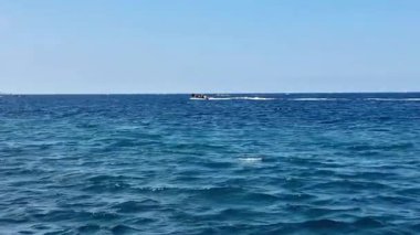 Canlı bir deniz kenarı sahnesi, zarif bir sürat teknesinin davetkar mavi sularda zahmetsizce süzülüşünü gösteriyor.