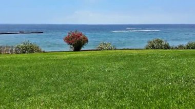 Manzaralı bir kıyı manzarası Işıl ışıl mavi deniz üzerinde canlı yeşil bir çimenlik sergiliyor