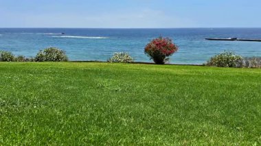 Geniş okyanusla buluşan yemyeşil çimlerin sakin ve huzurlu manzarası, rahatlama ve doğa meraklıları için ideal.