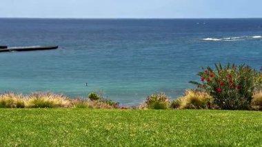 Büyüleyici bir sahil sahnesi canlı çiçekler ve sakin, nazik okyanus dalgalarını canlı bir şekilde sergiliyor.