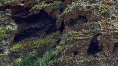 İnanılmaz güzellikte yeşil bitki örtüsüyle bezenmiş çarpıcı bir kayalık araziyi keşfedin.