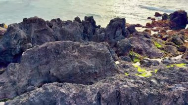 Bu güzel ortamda eşsiz desenli kayalar ve canlı kıyı bitkileriyle çarpıcı kayalık kıyı şeridini keşfedin.